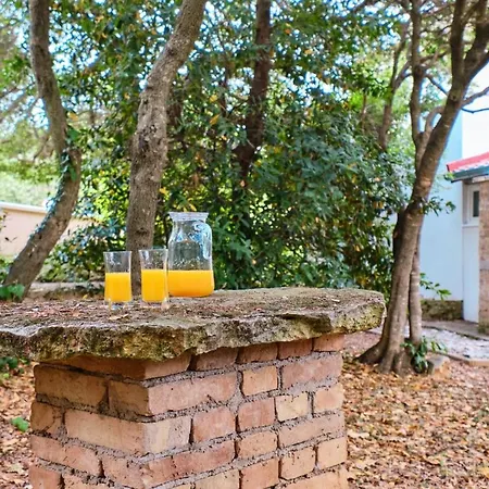 House Guest house