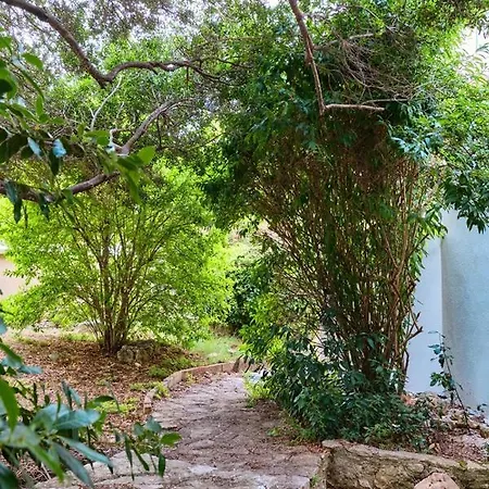 Guest house House *
